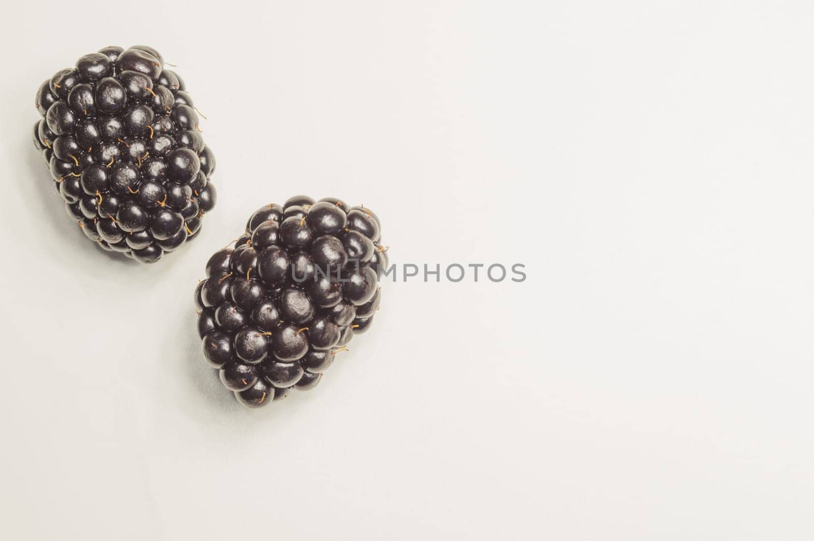 Blackberries isolated on white background. fresh berries with copy space