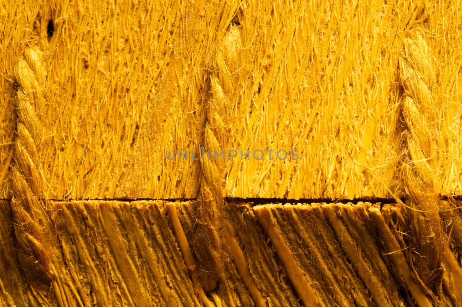 Rough wood macro texture. brown wooden material background