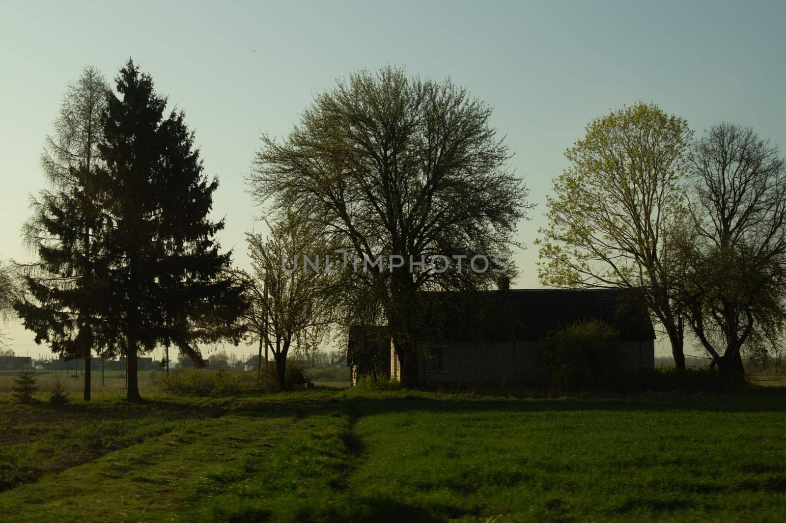 Traditional wooden house in the natural environment scene. nature landscape background