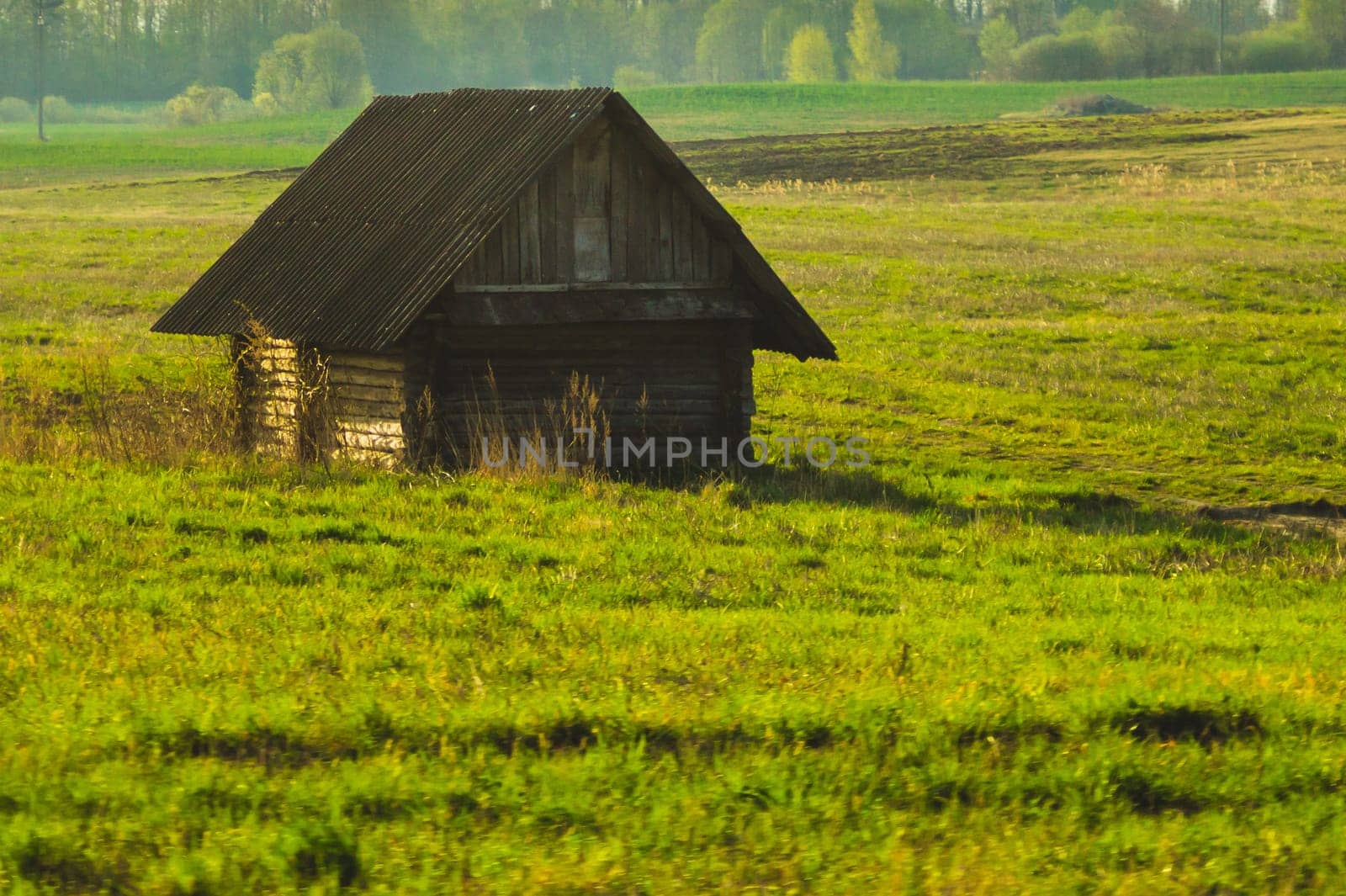 Old wooden house on the countryside. house standing alone among the field