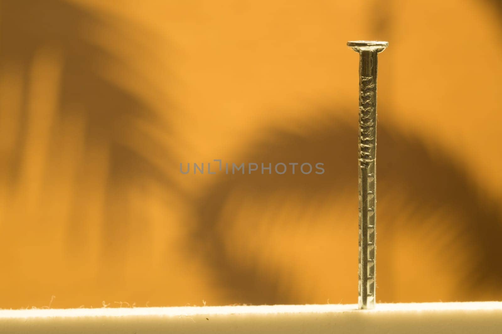 Small metal nail isolated background