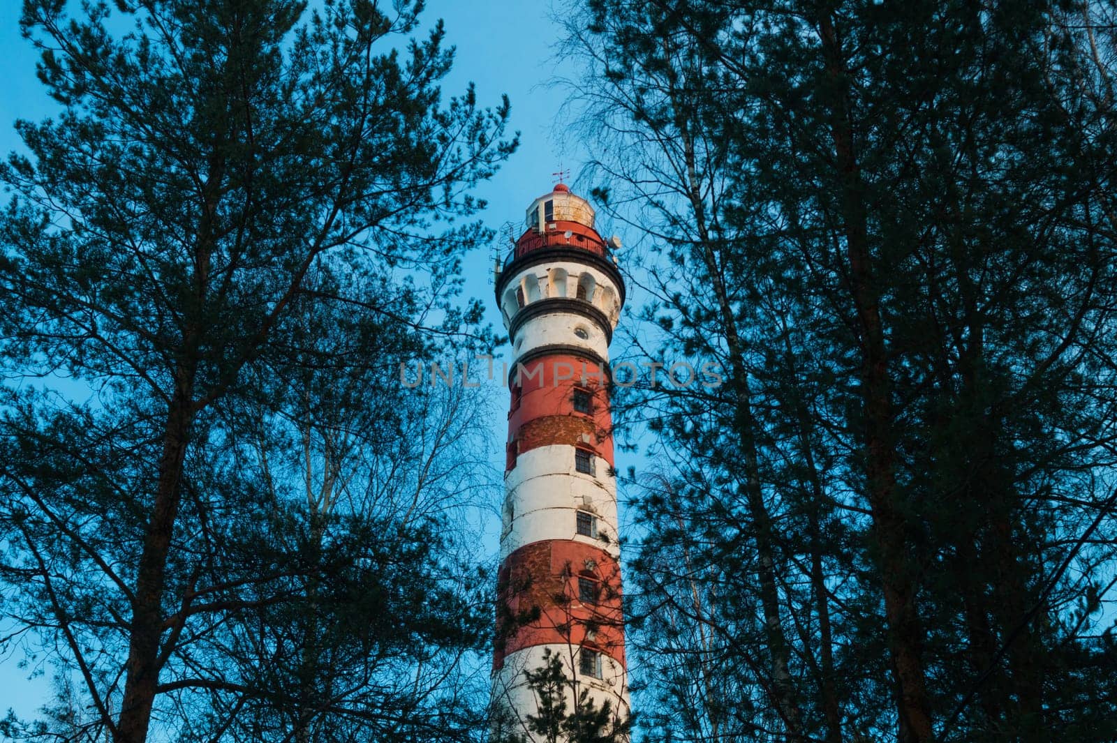 Lighthouse in the forest between the trees. red and white lighthouse background