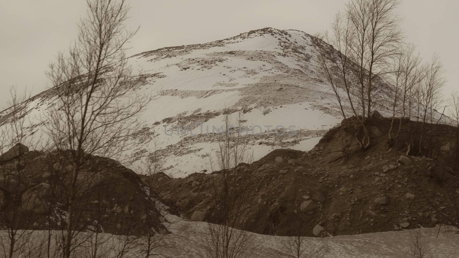 Mountain landscape background. snowy hills and forest background