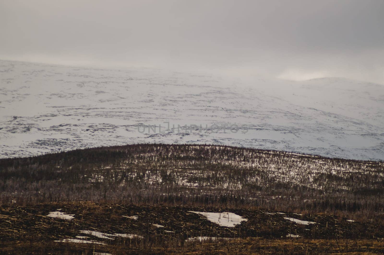 Mountain landscape background. snowy hills and forest background