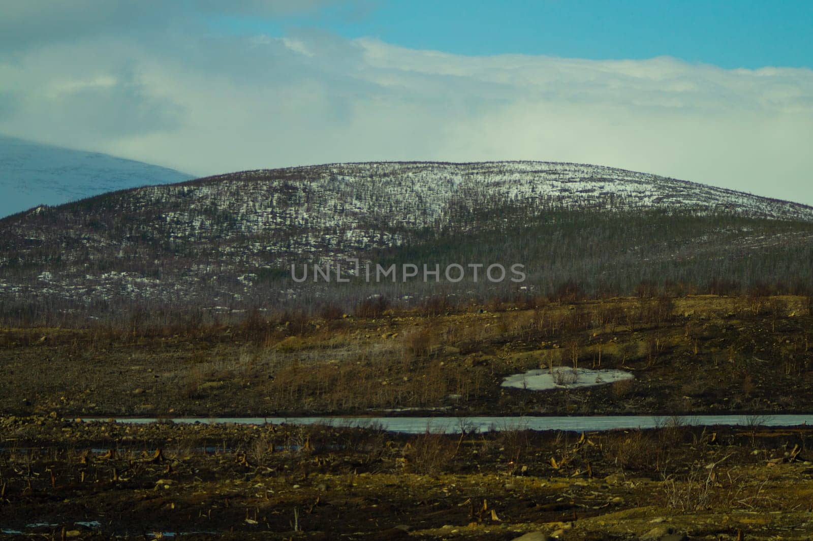 Mountain landscape background. snowy hills and forest background