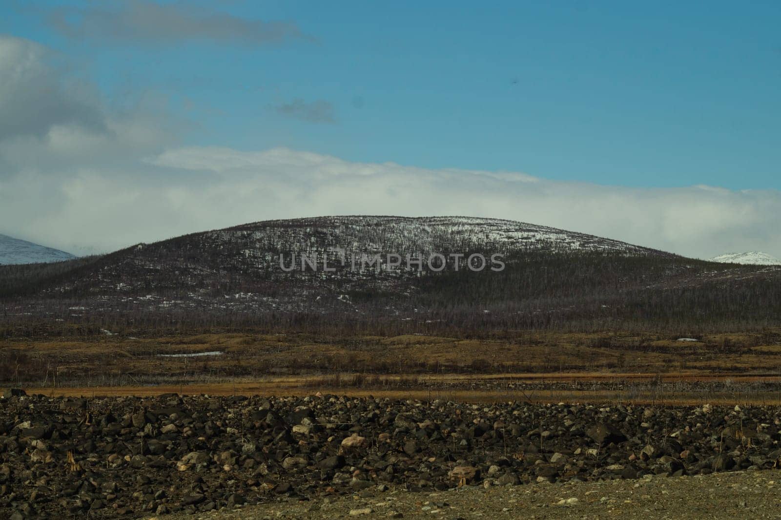 Mountain landscape background. snowy hills and forest background