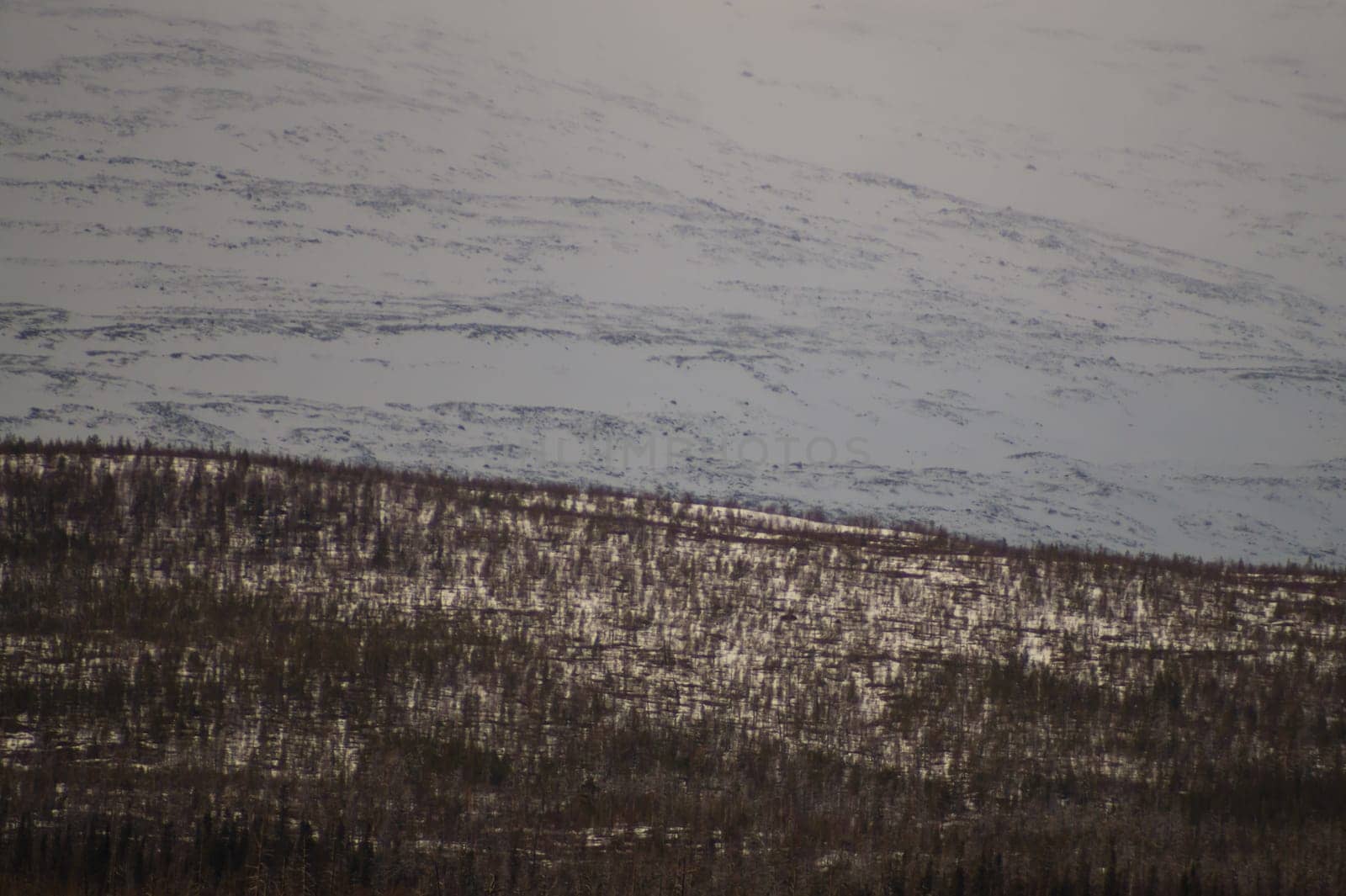 Mountain landscape background. snowy hills and forest background