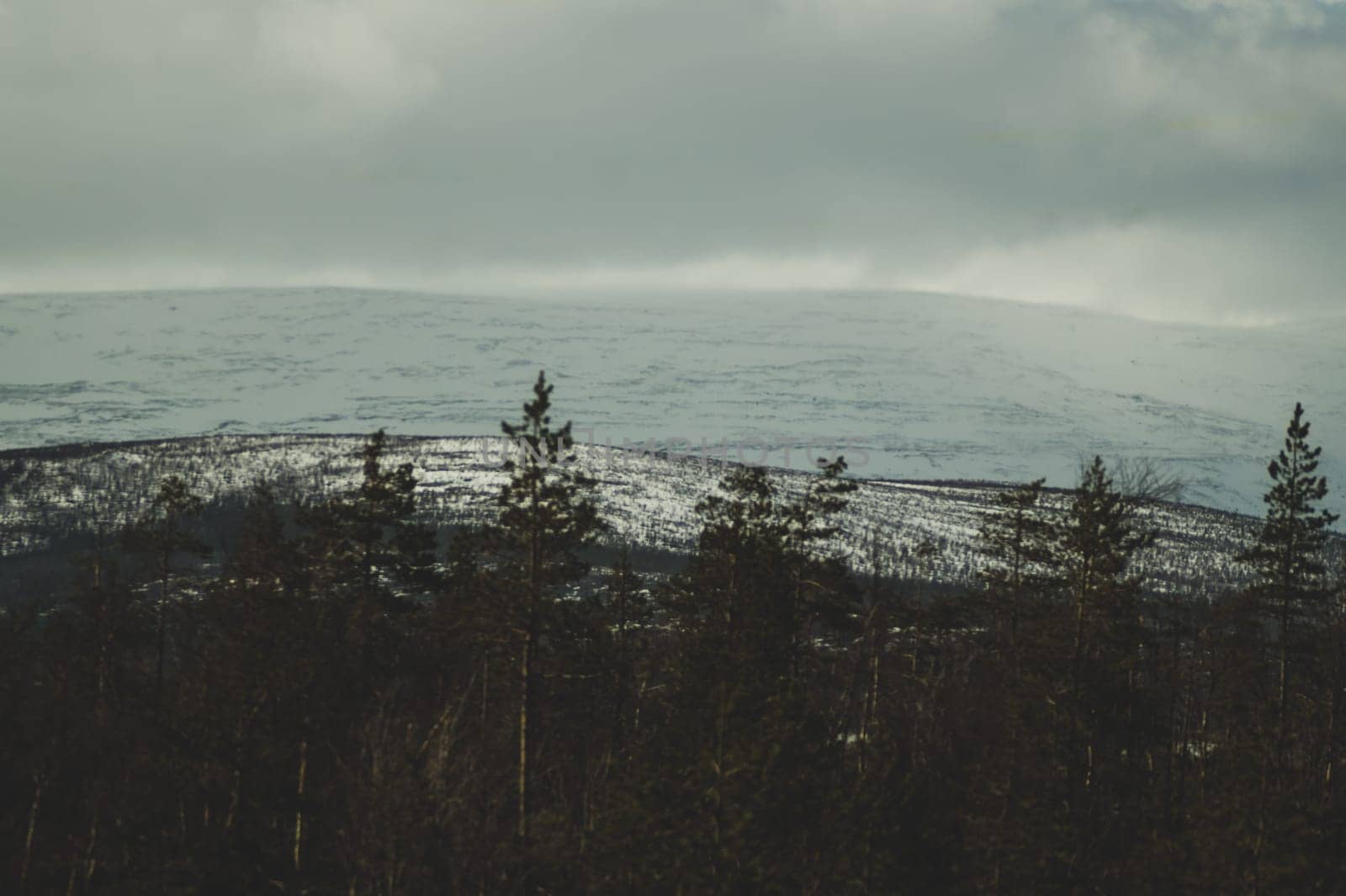 Mountain landscape background. snowy hills and forest background