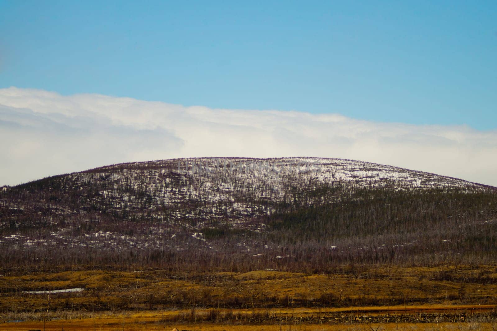 Mountain landscape background. snowy hills and forest background