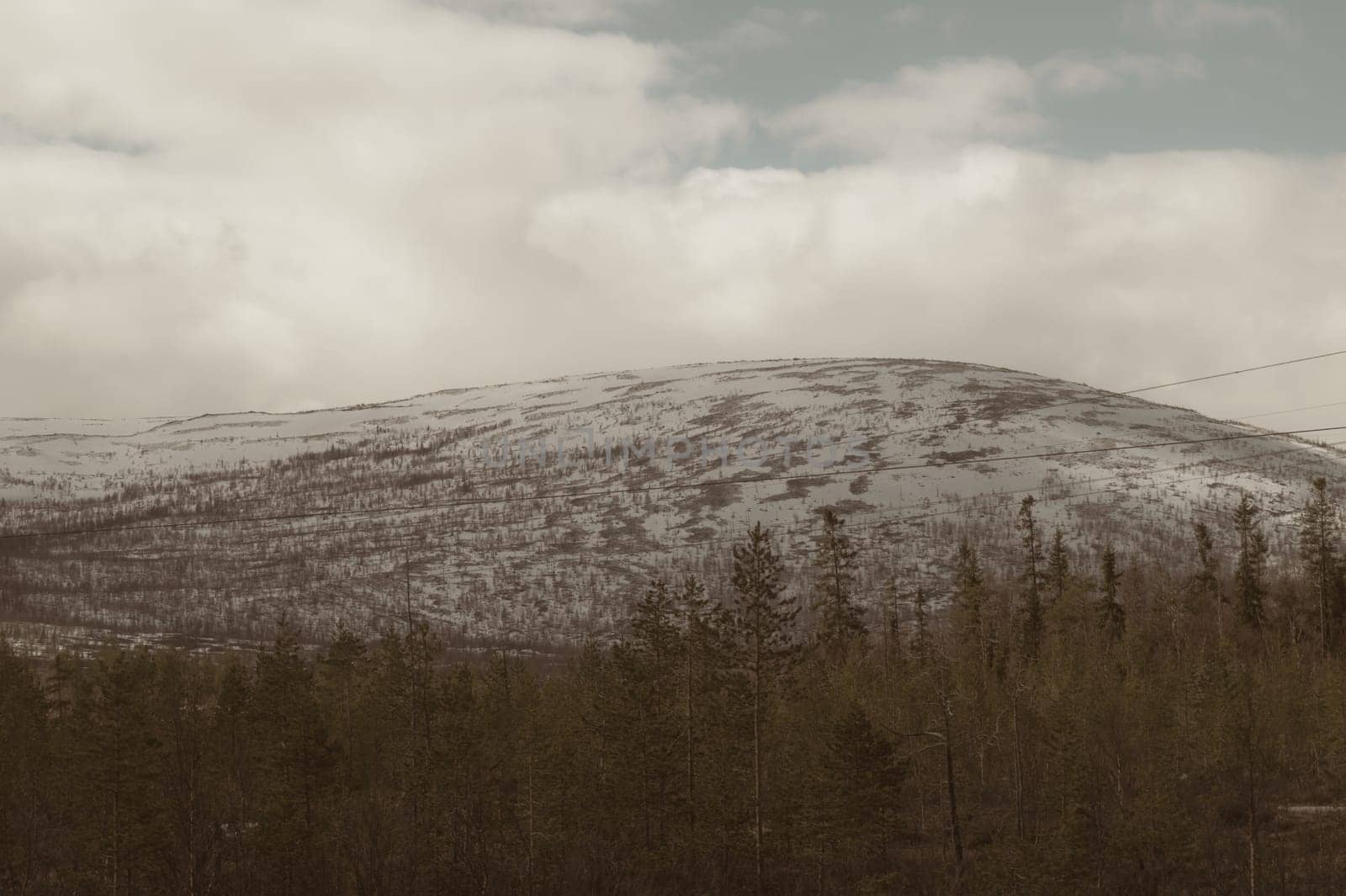 Mountain landscape background. snowy hills and forest background