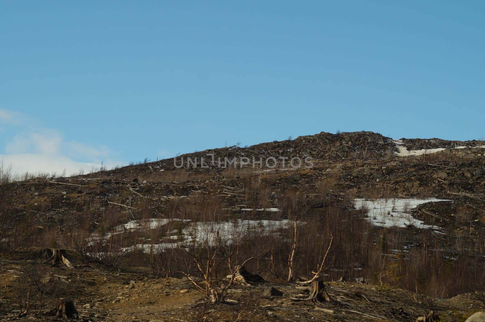 Mountain landscape background. snowy hills and forest background
