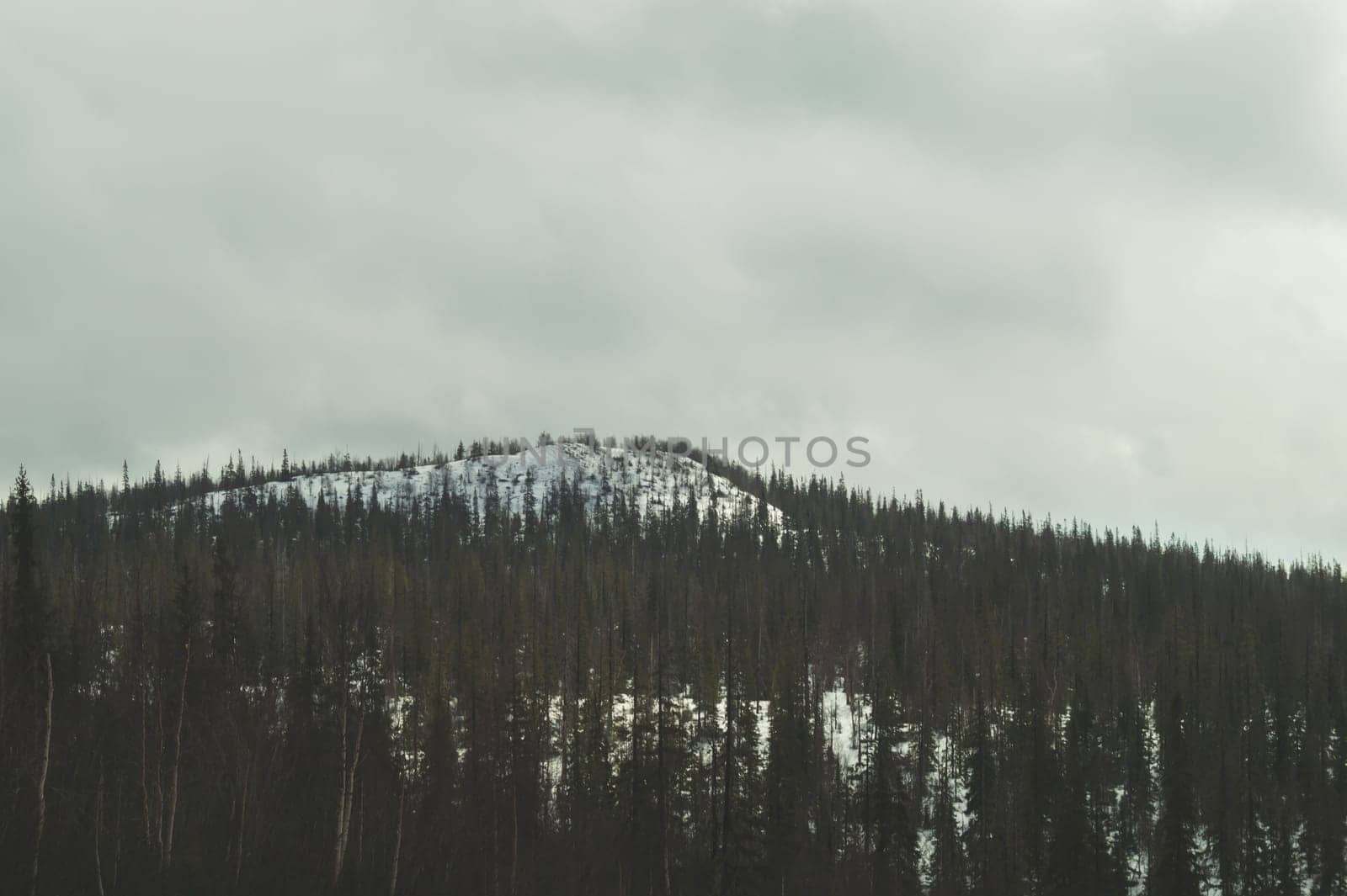 Mountain landscape background. snowy hills and forest background