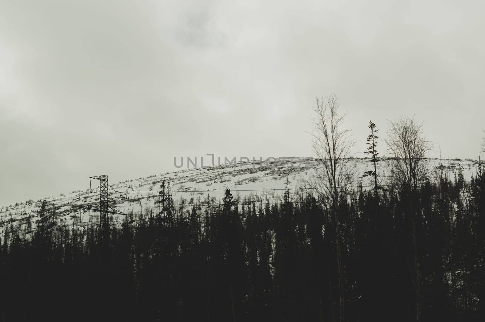 Mountain landscape background. snowy hills and forest background