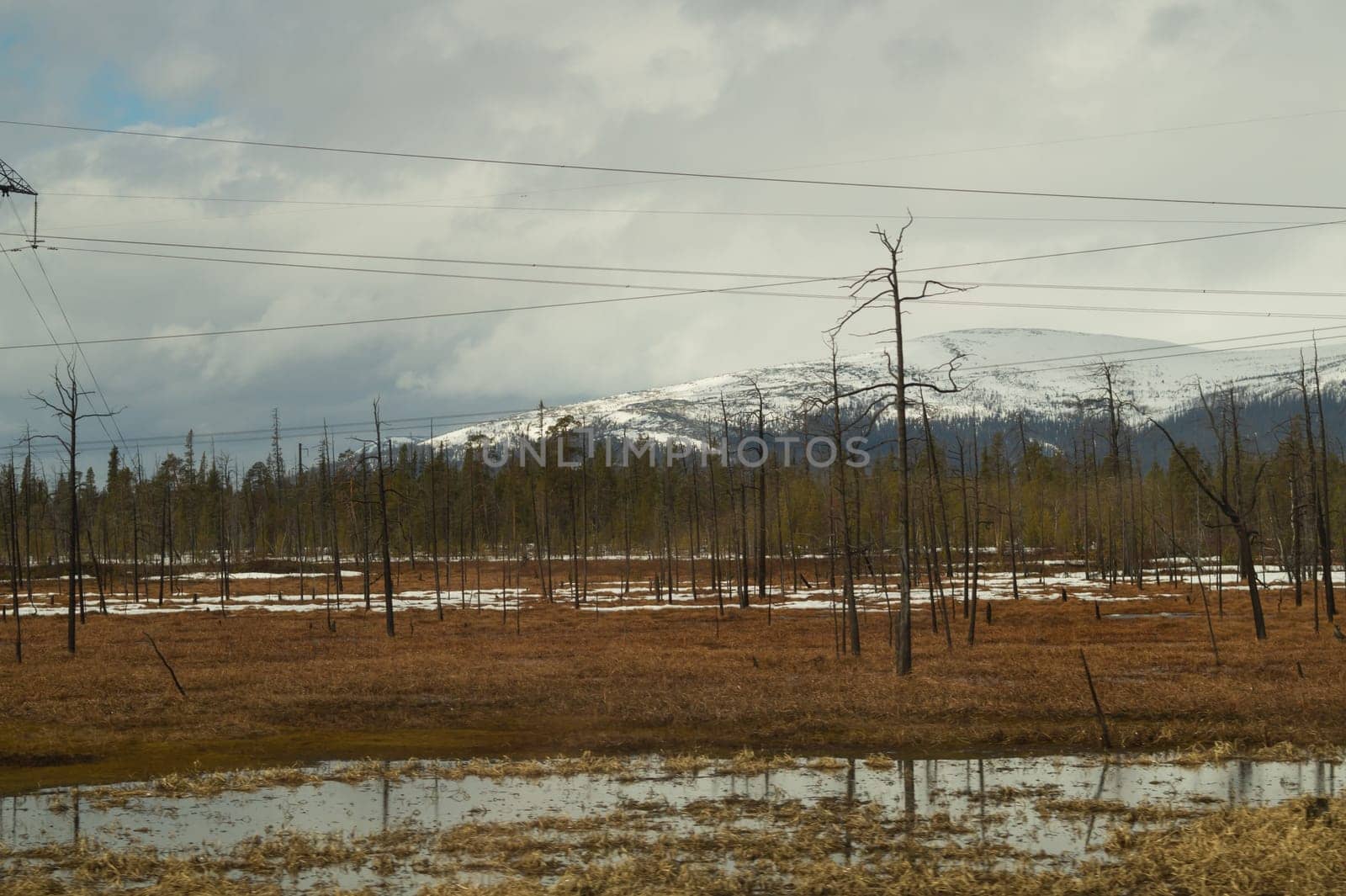 Mountain landscape background. snowy hills and forest. industrial power lines in mountains