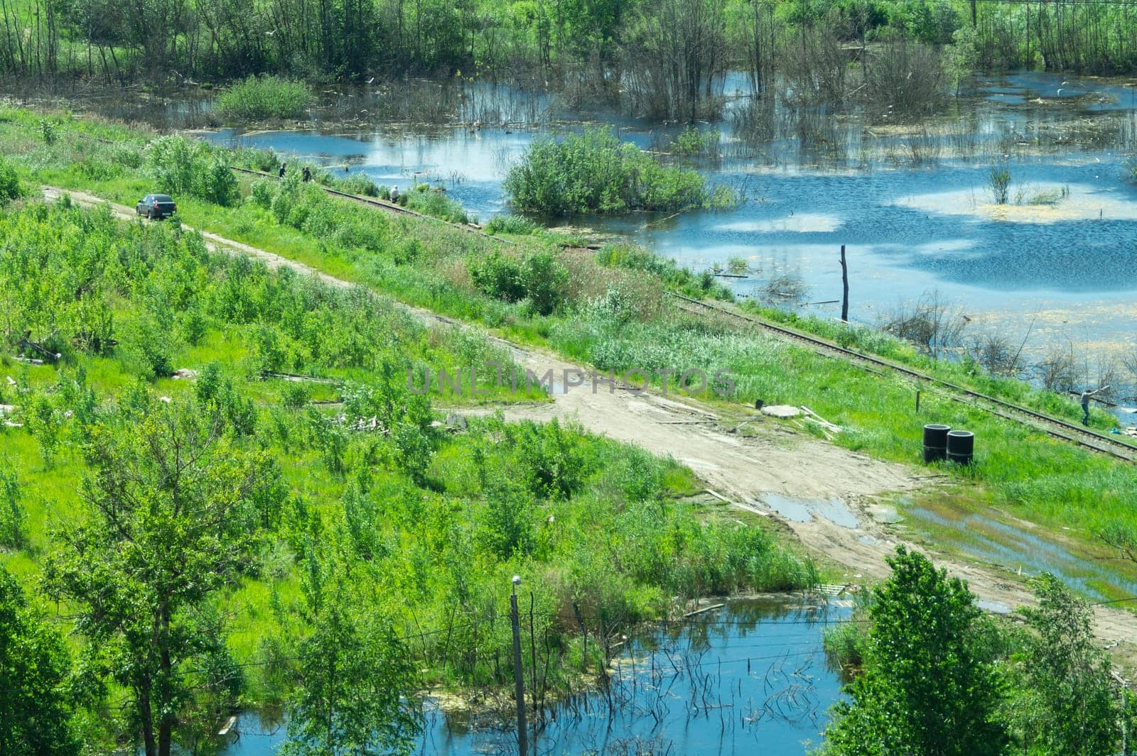 Car on the road between the swamps. railway among marshland. beautiful landscape in sunny day with aerial view. green plants and blue water