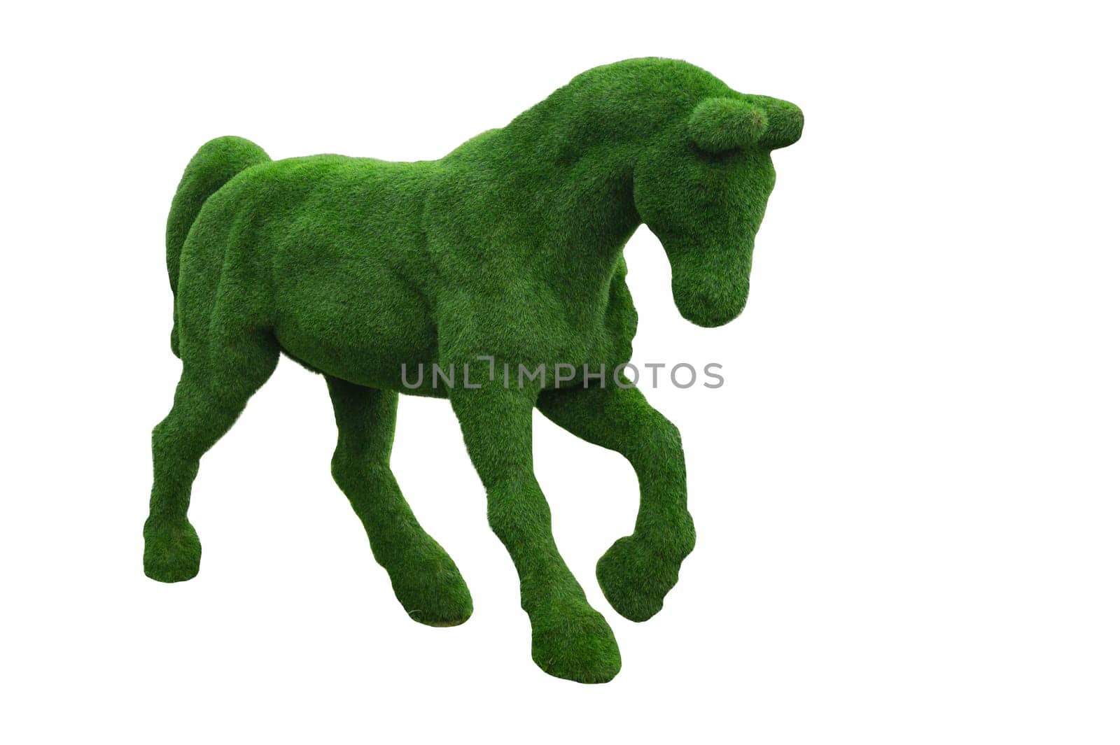 Horse shaped bush. shrub in a form of animal isolated on white. clip art