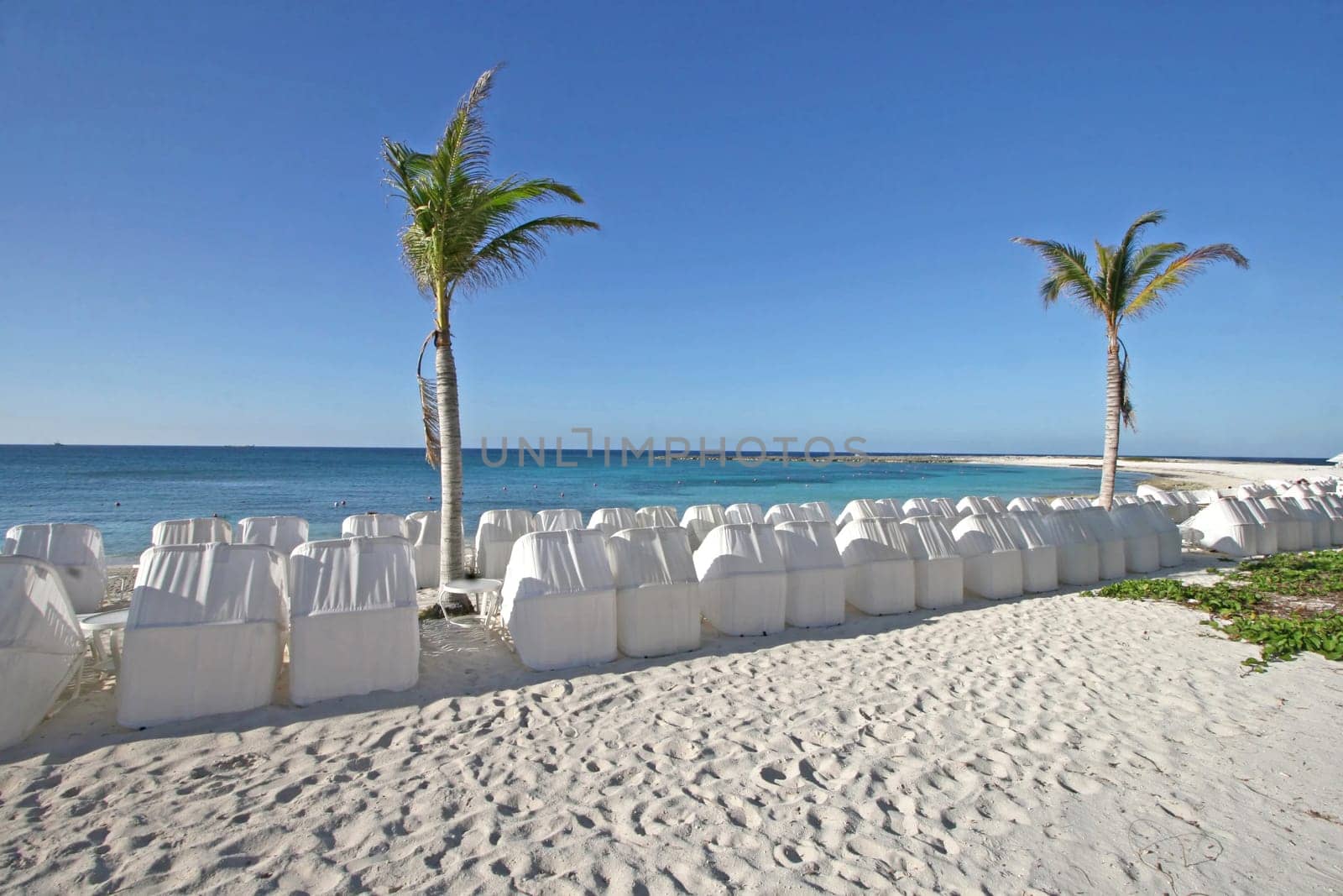 A beach with a lot of chairs with shades
