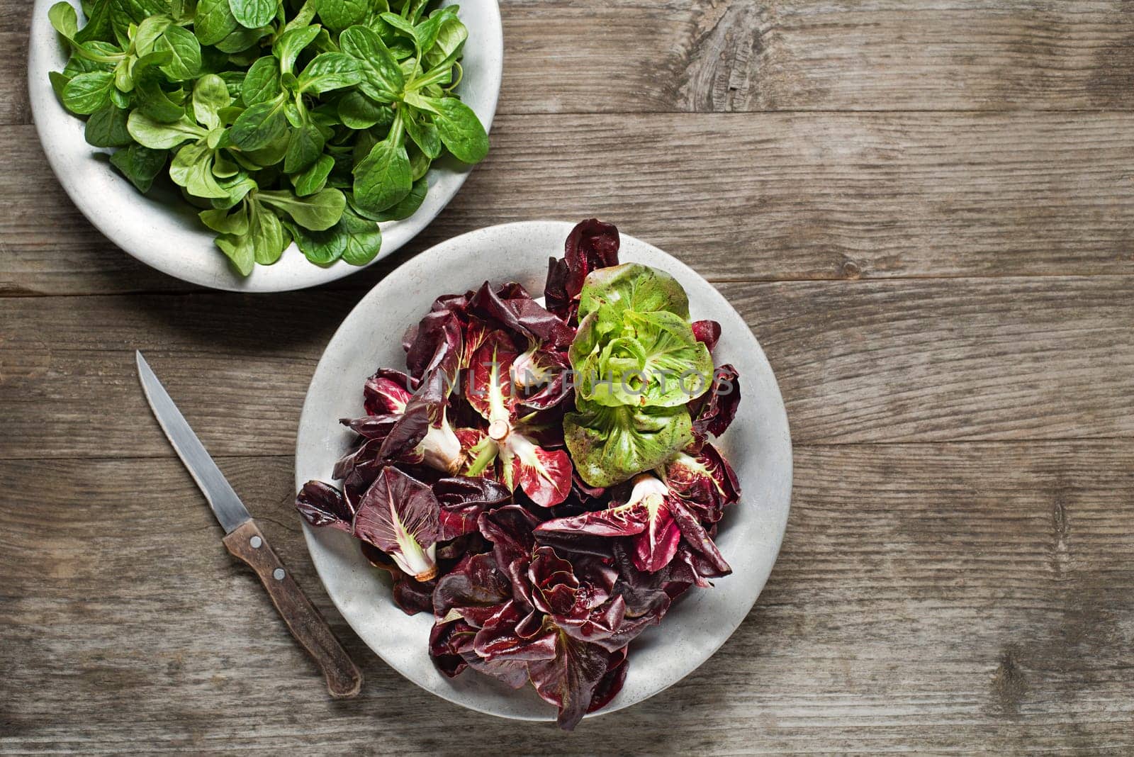 Valerianella lettuce and red radicchio in a plate close up