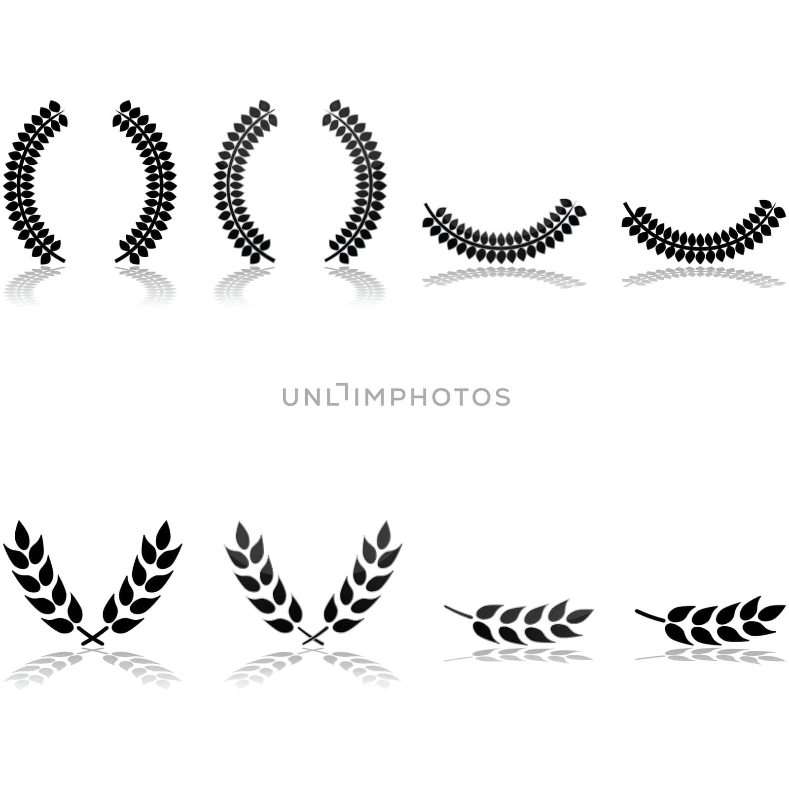 icon set showing laurels arranged in different patterns and with different graphic styles