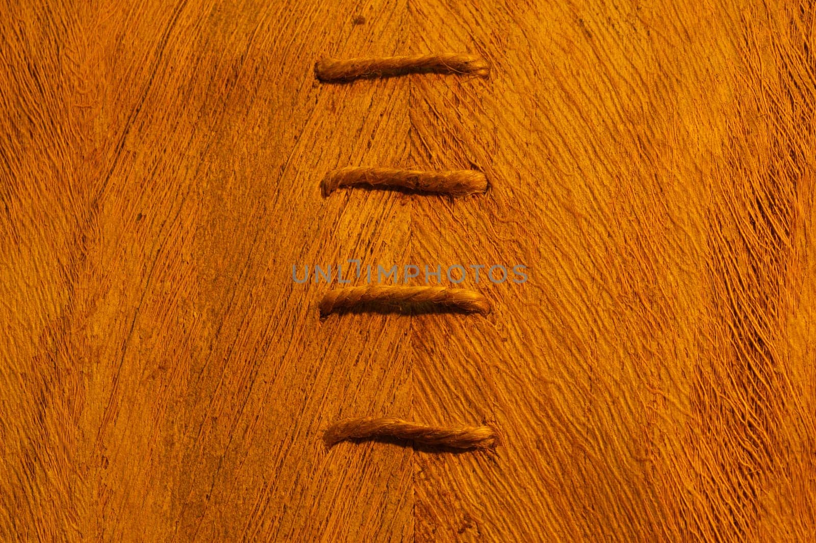 Rough wood macro texture. brown wooden material background