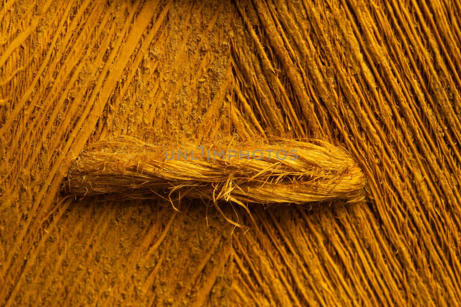 Rough wood macro texture. brown wooden material background