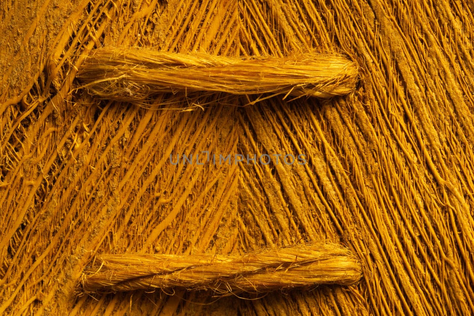 Rough wood macro texture. brown wooden material background