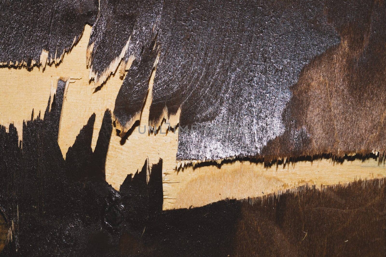 Painted wood background. wooden texture
