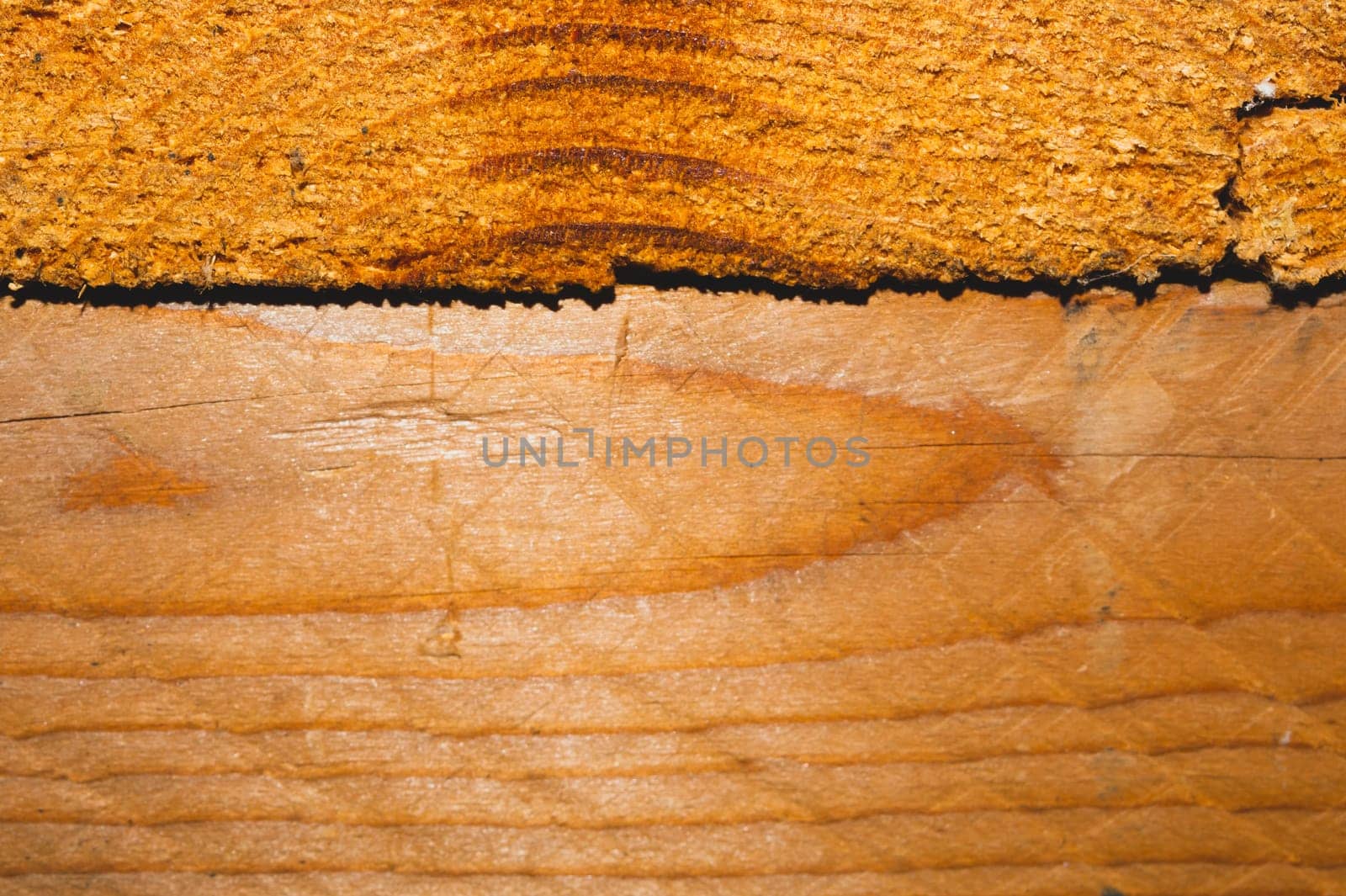 Old wood background. wooden texture