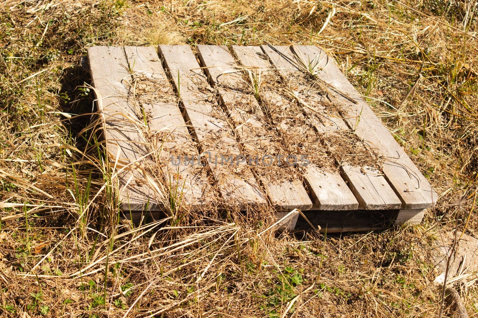 Old wooden plank background. planked bottom on the ground
