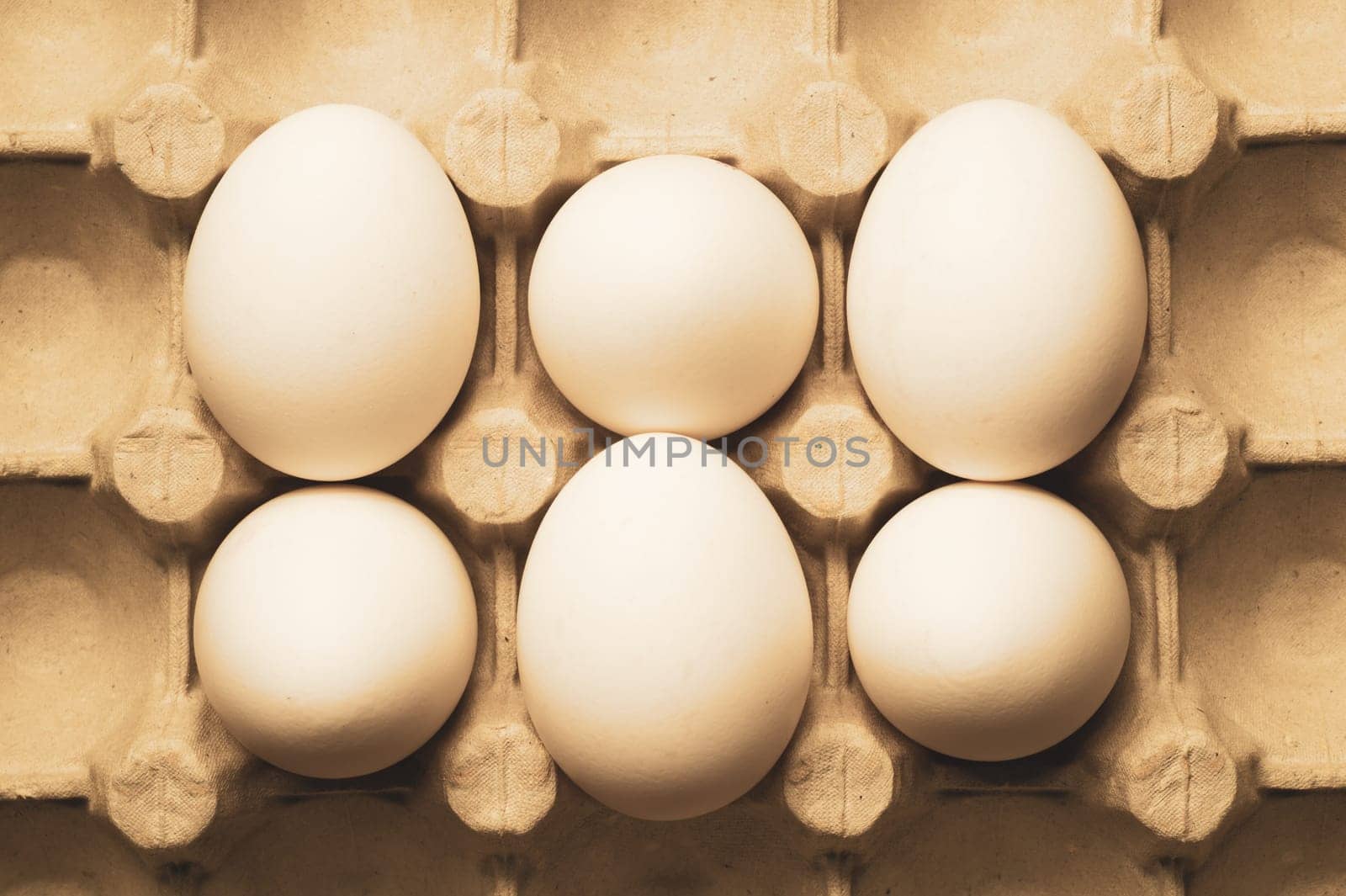 White eggs in carton box background. food ingredient. protein nutrition. healthy breakfast. poultry egg