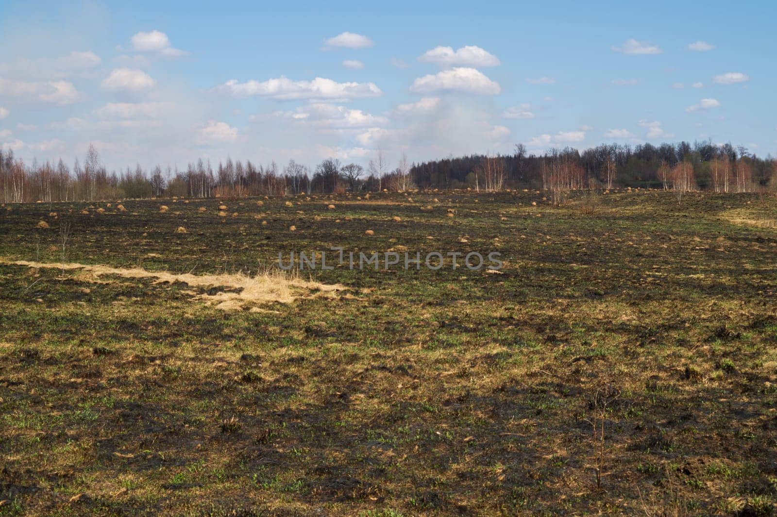 Wide field and the sky nature landscape background. horizon line
