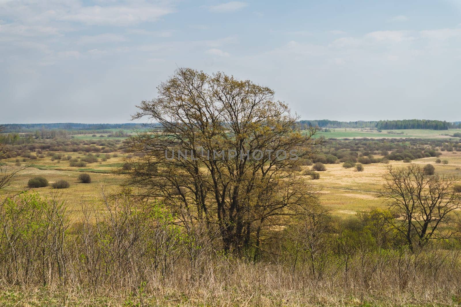 Nature panoramic landscape view from high. field with plants and trees nature background. view into the distance