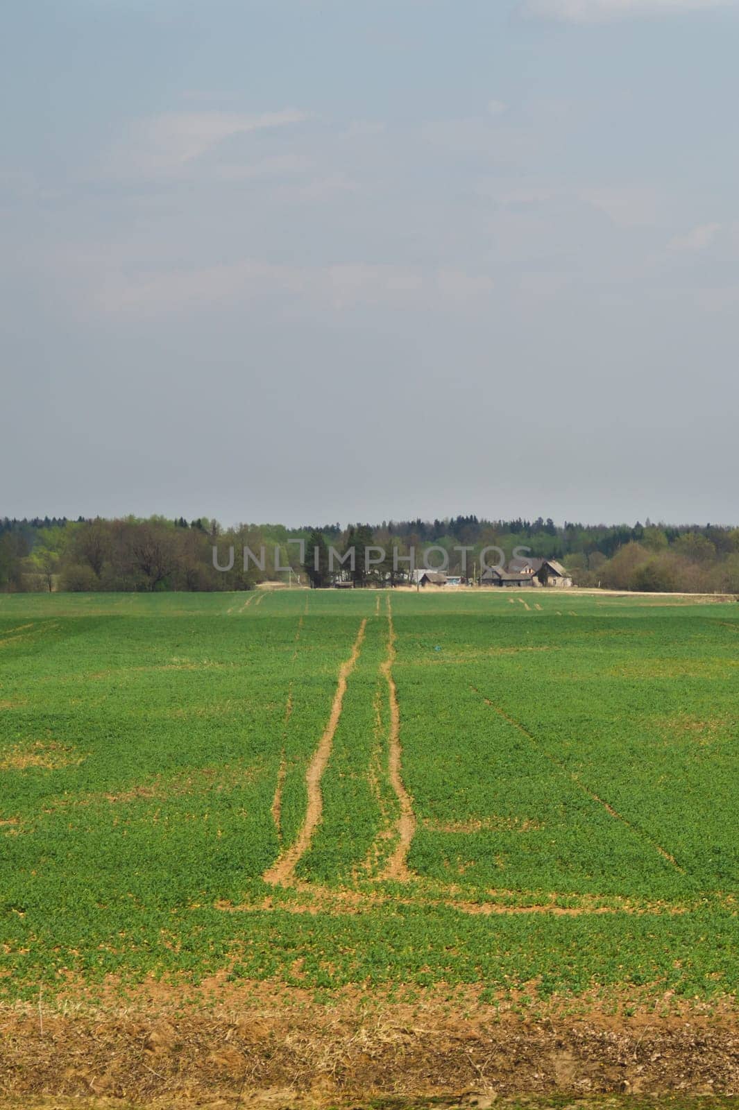 Wide field and the sky nature landscape background. horizon line