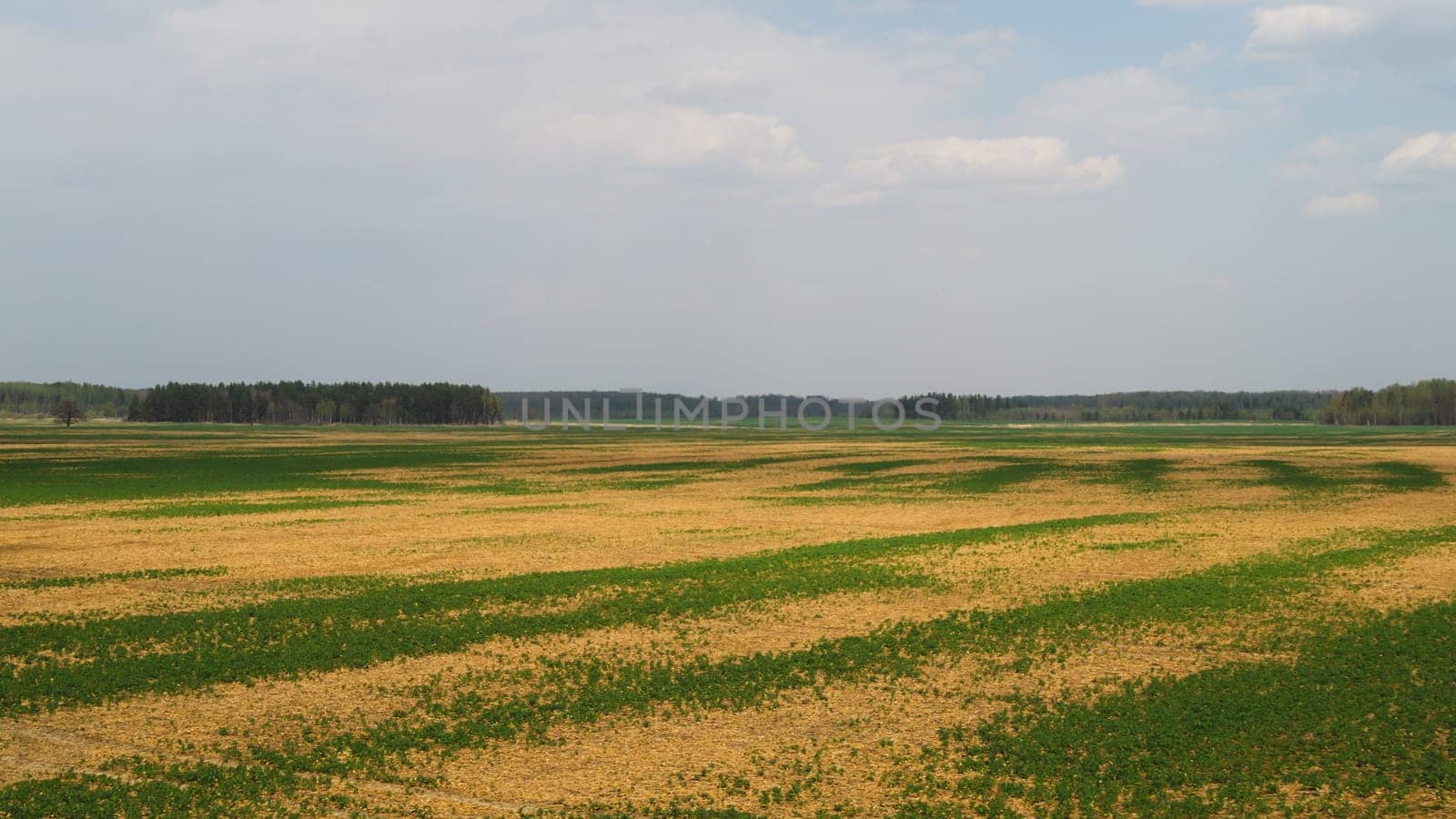 Wide field and the sky nature landscape background. horizon line