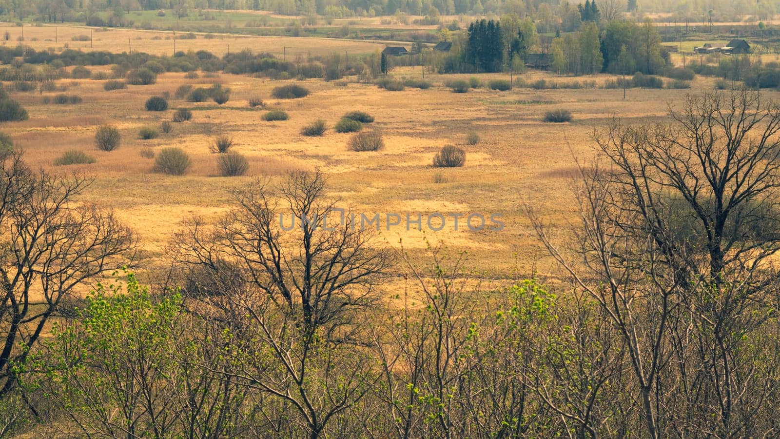 Nature panoramic landscape view from high. field with plants and trees nature background. view into the distance
