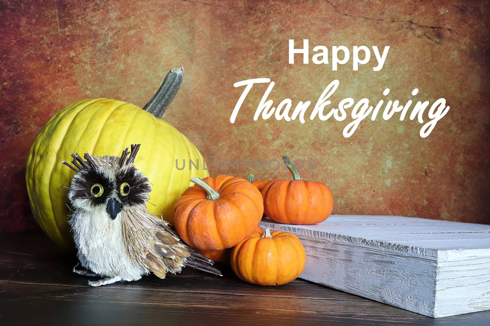A Happy Thanksgiving background with pumpkins and an owl.