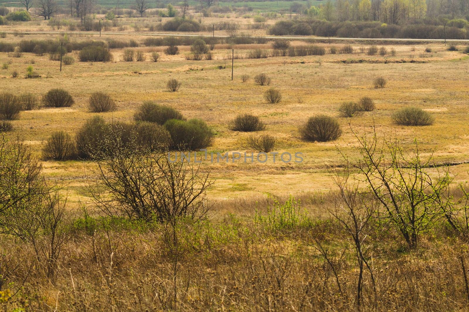 Nature panoramic landscape view from high. field with plants and trees nature background. view into the distance