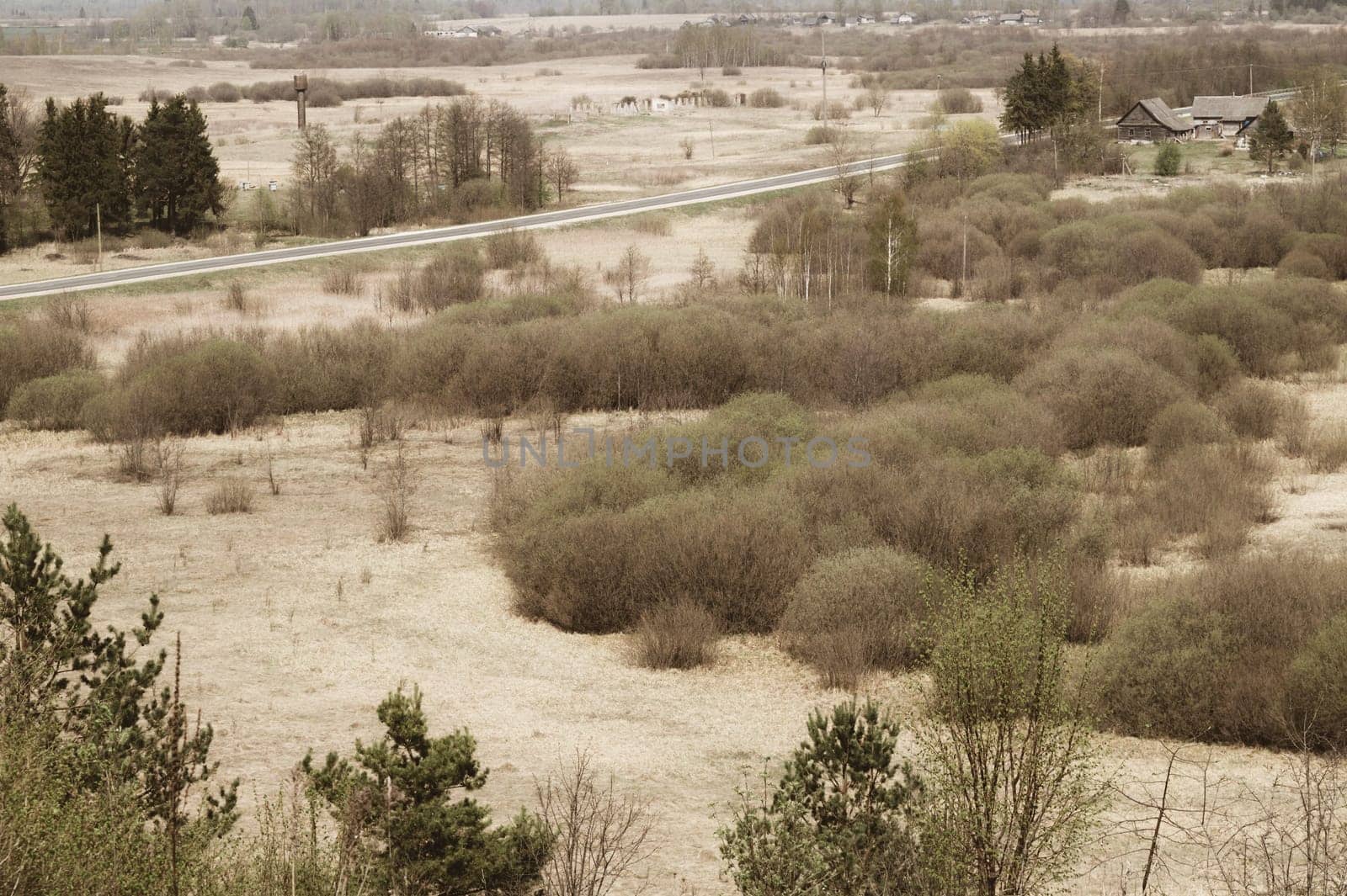 Nature panoramic landscape view from high. field with plants and trees nature background. view into the distance
