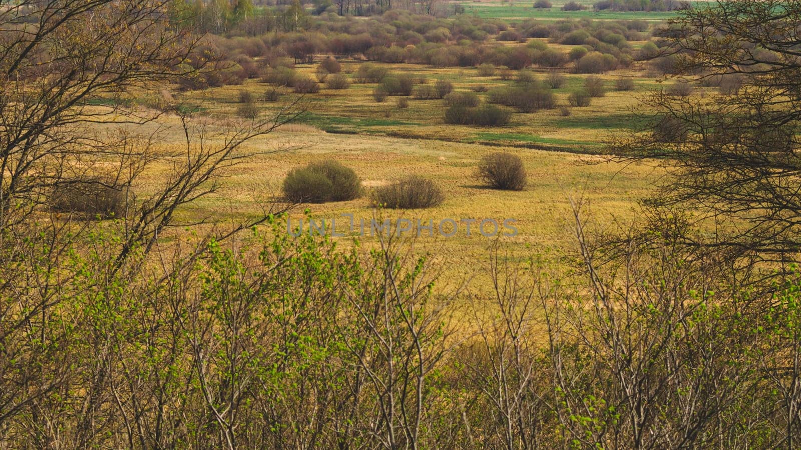 Nature panoramic landscape view from high. field with plants and trees nature background. view into the distance