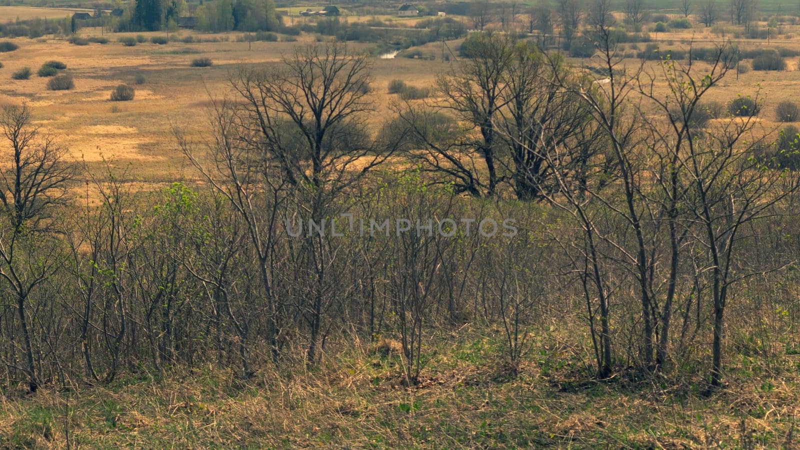 Nature panoramic landscape view from high. field with plants and trees nature background. view into the distance