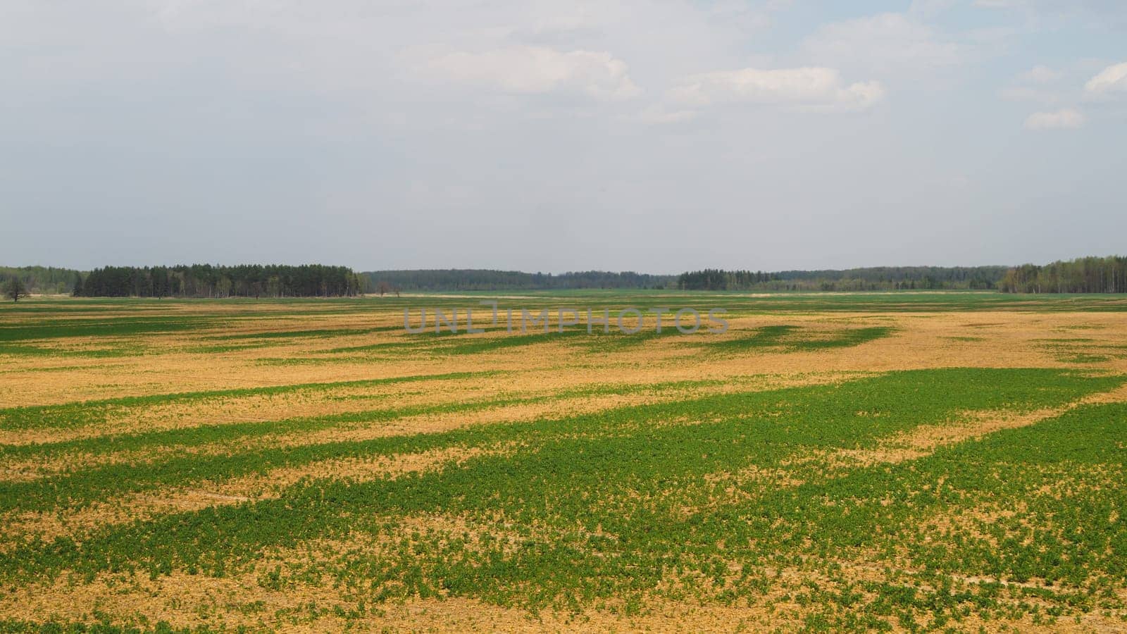 Wide field and the sky nature landscape background. horizon line