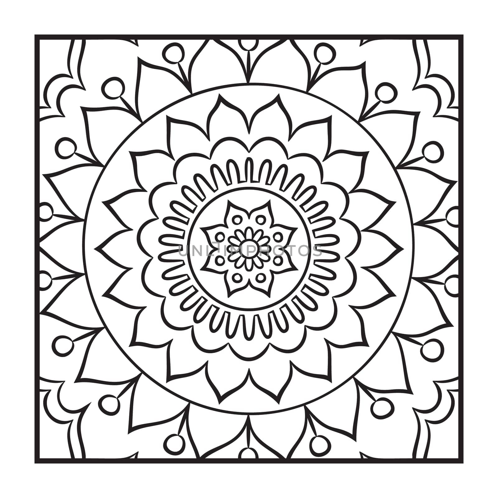Doodle mandala coloring page. Outline floral design element. Coloring book pattern. Decorative round flower. Anti-stress therapy pattern on white background. Meditation poster. Vector illustration.