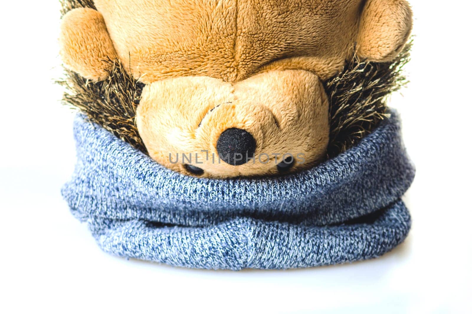 Plush hedgehog in a hat upside down. soft toy on a white background