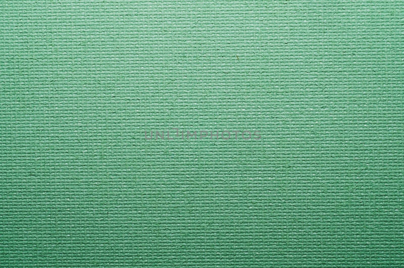 Painted cardboard surface close up. rough texture. abstract green background