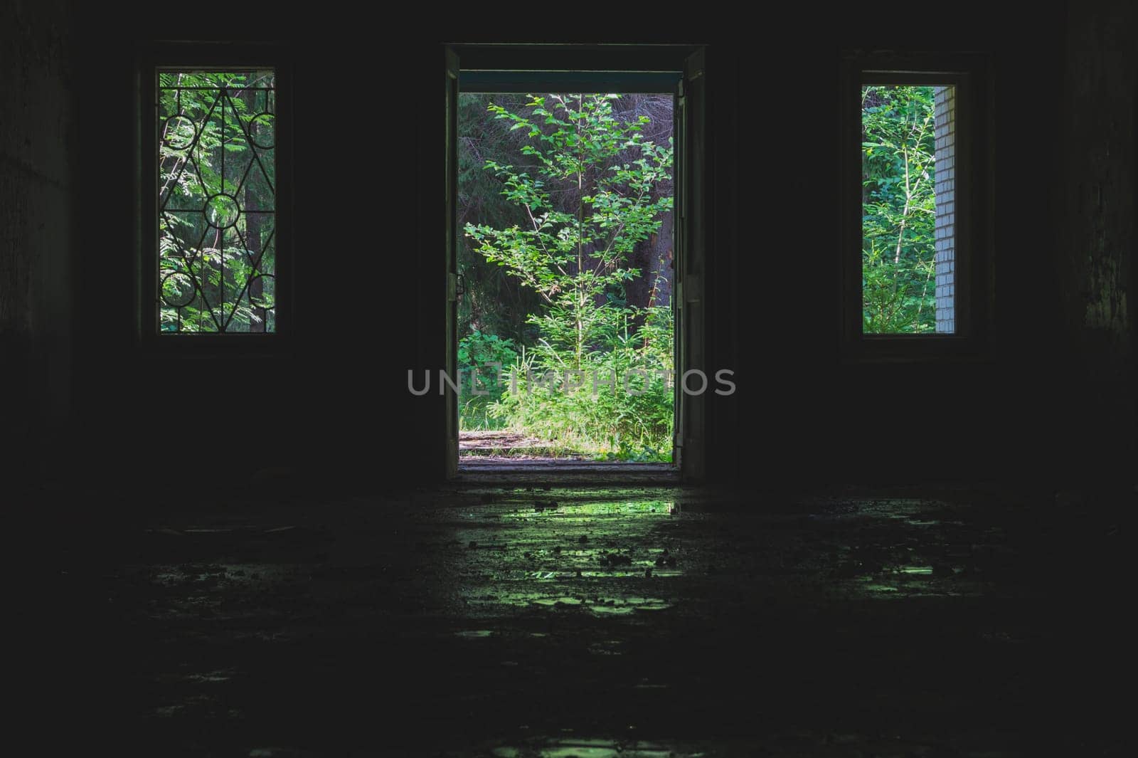 View from the inside to the outside through the door and windows in an abandoned house. destroyed building