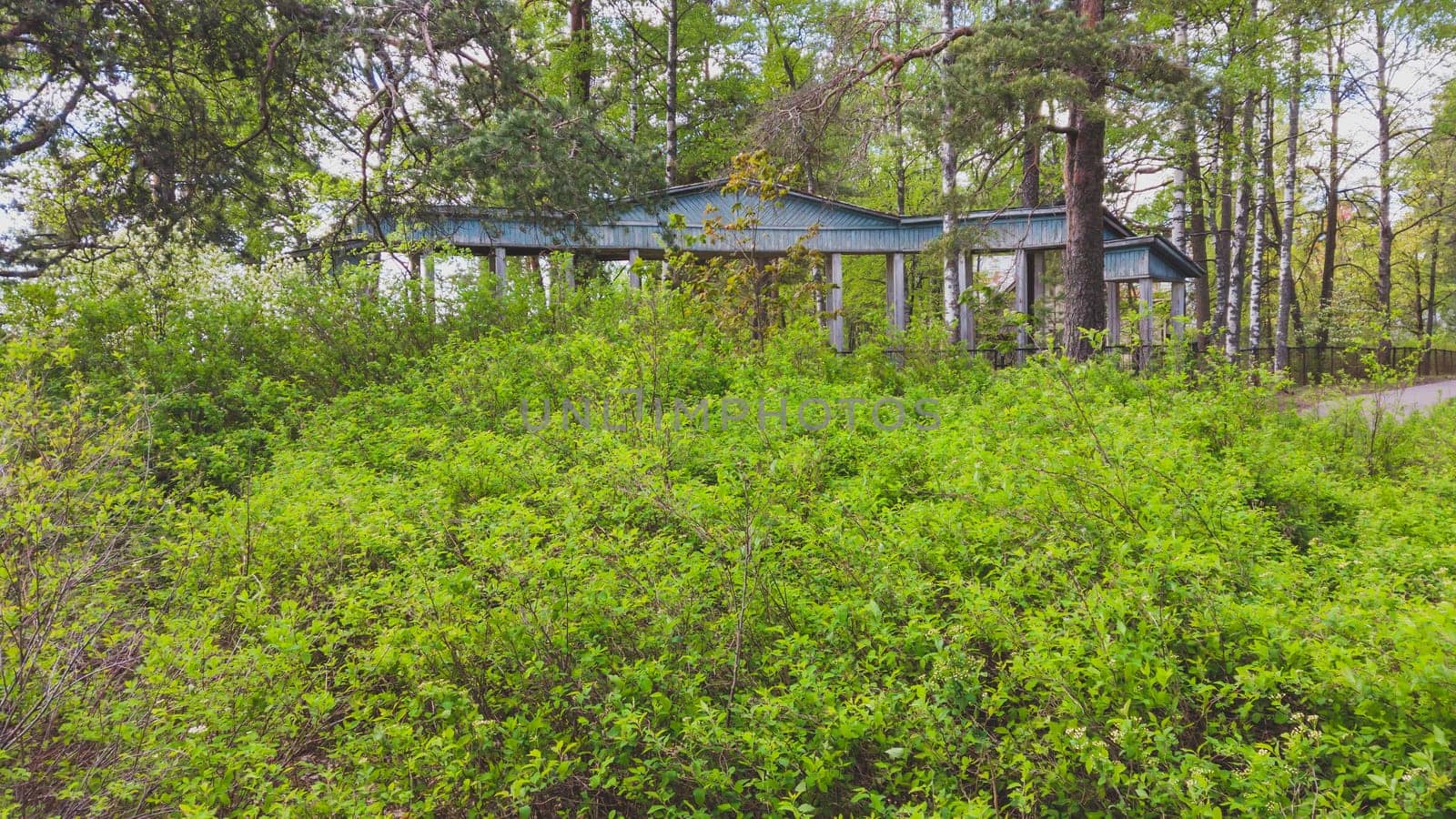 Wooden building among lush foliage. green plants and trees