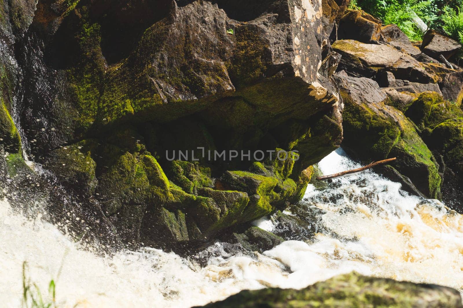 Mountain river. waterfall in dense forest. woodland creek. water flow with splashes. rocky watercourse