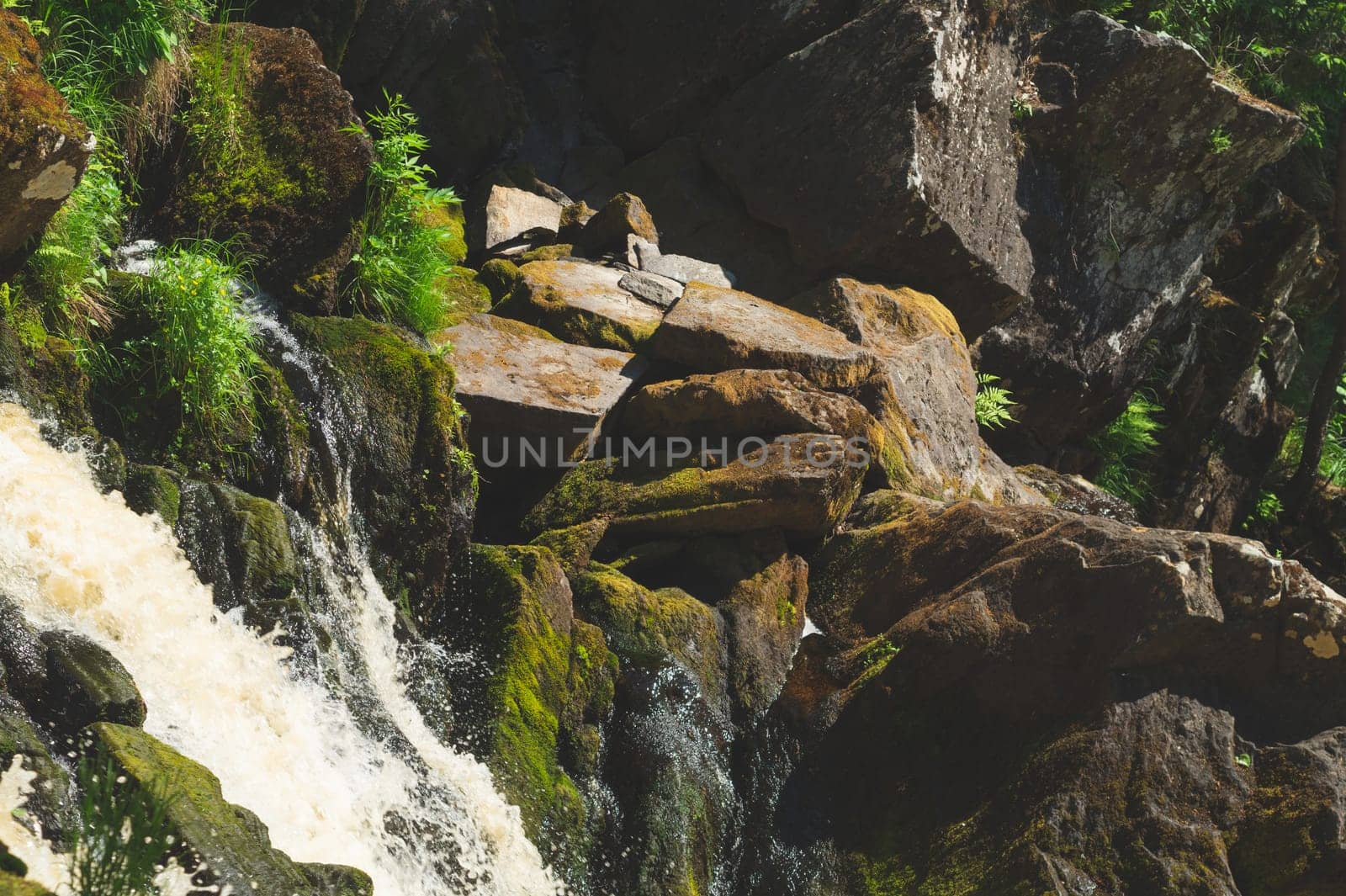 Waterfall in dense forest. mountain river. woodland creek. water stream with splashes. rocky watercourse