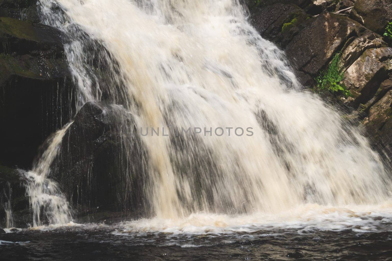 Waterfall in dense forest. mountain river. woodland creek. water flow with splashes. rocky watercourse