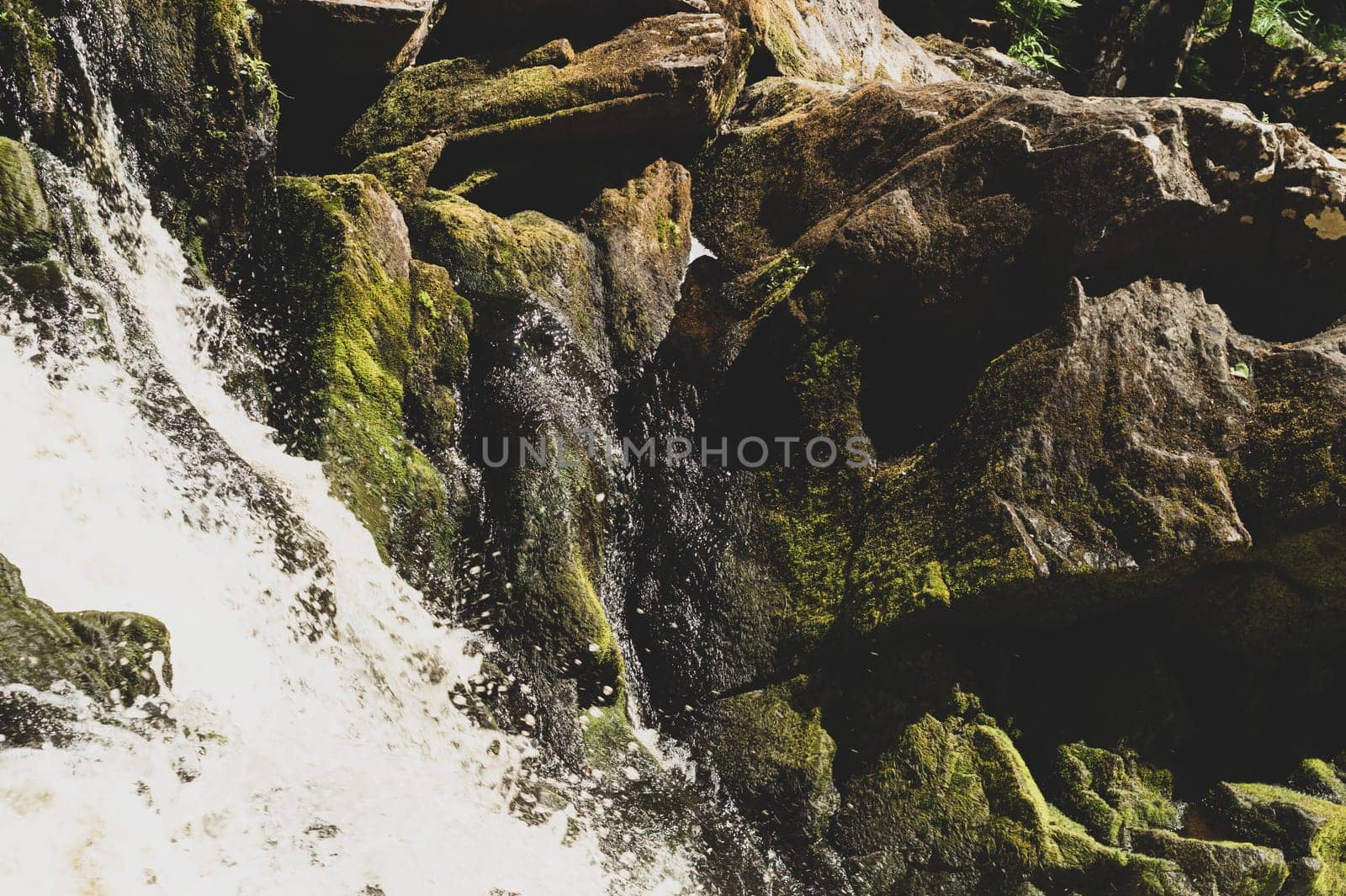 Waterfall in dense forest. mountain river. woodland creek. water stream with splashes. rocky watercourse
